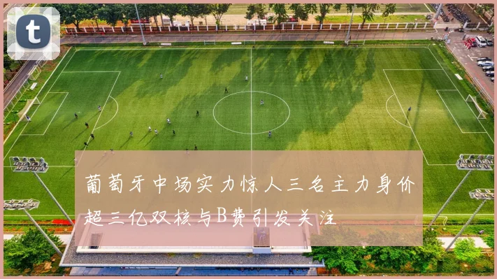 葡萄牙中场实力惊人三名主力身价超三亿双核与B费引发关注
